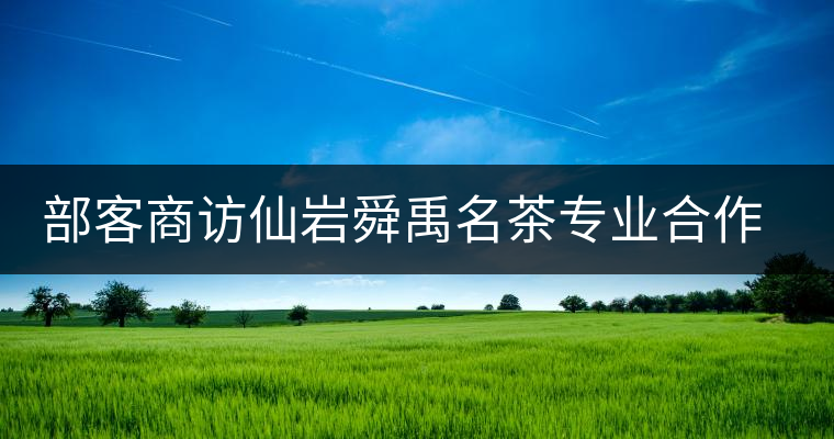 部客商訪仙巖舜禹名茶專業(yè)合作社負責人鮑樟苗