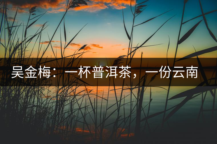 吳金梅：一杯普洱茶，一份云南情