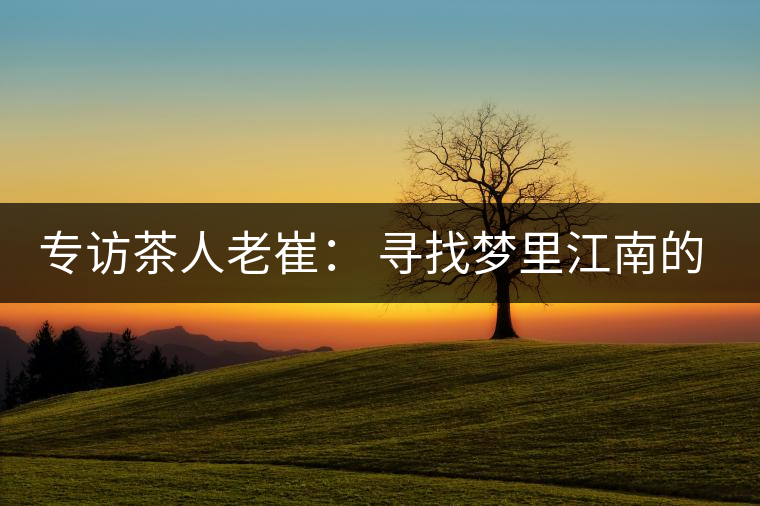 專訪茶人老崔： 尋找夢(mèng)里江南的茶園茶