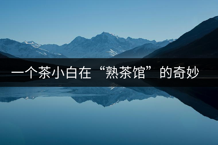 一個(gè)茶小白在“熟茶館”的奇妙體驗(yàn)之旅 一個(gè)茶小白在“熟茶館”的奇妙體驗(yàn)之旅