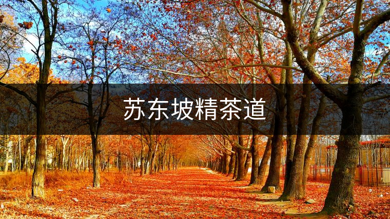 蘇東坡精茶道