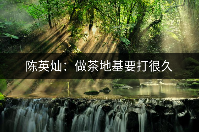 陳英燦：做茶地基要打很久