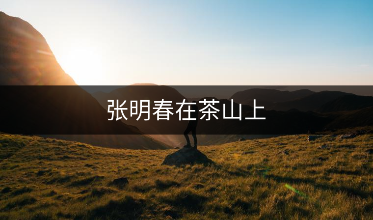 張明春在茶山上 張明春在茶山上