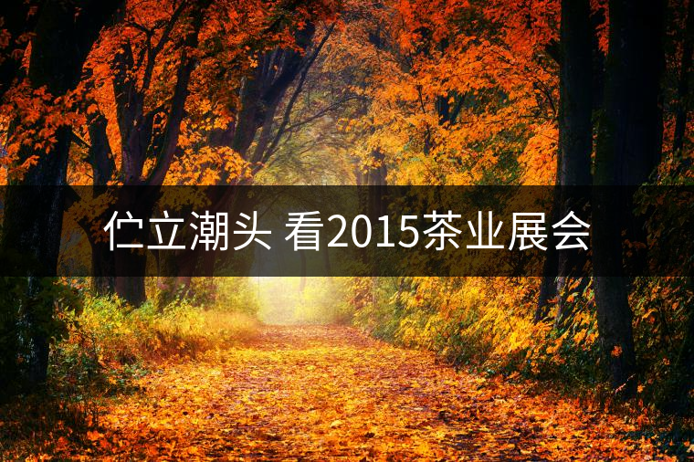 佇立潮頭 看2015茶業(yè)展會