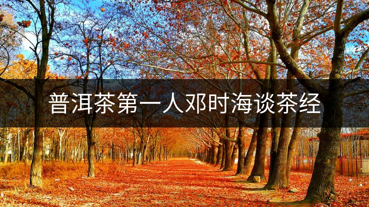 普洱茶第一人鄧時(shí)海談茶經(jīng)
