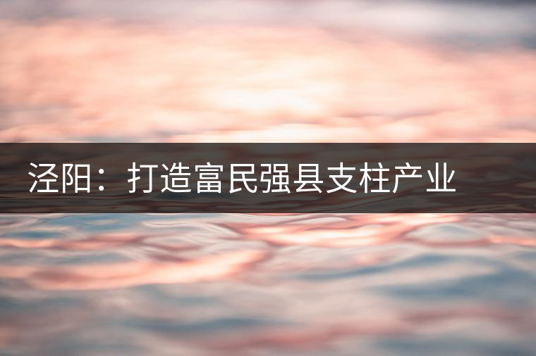 涇陽：打造富民強縣支柱產(chǎn)業(yè)  ——訪陜西省涇陽縣副縣長謝保衛(wèi)