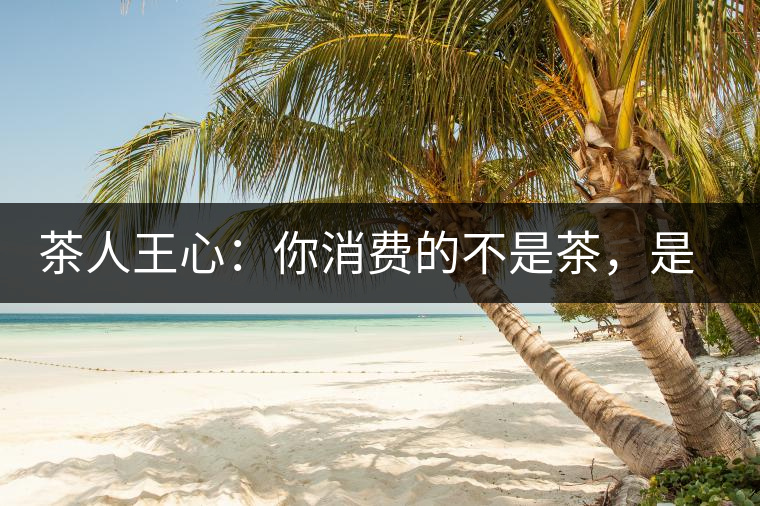 茶人王心：你消費(fèi)的不是茶，是我
