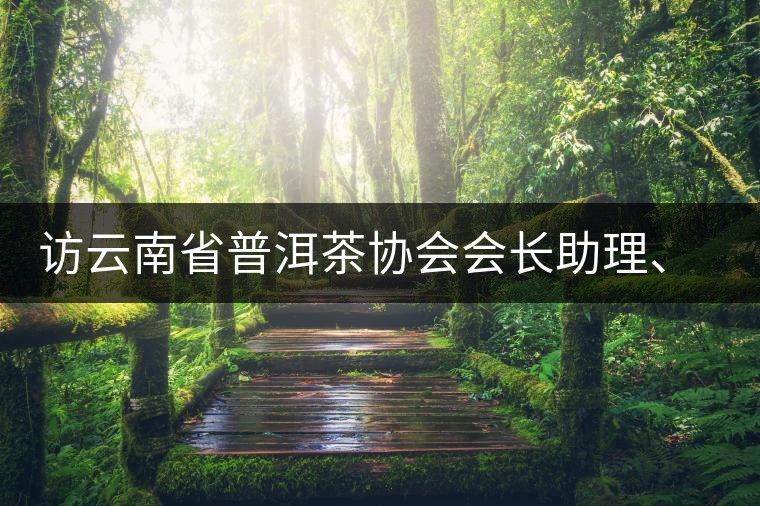 訪云南省普洱茶協(xié)會會長助理、副秘書長、茶界名人張明春