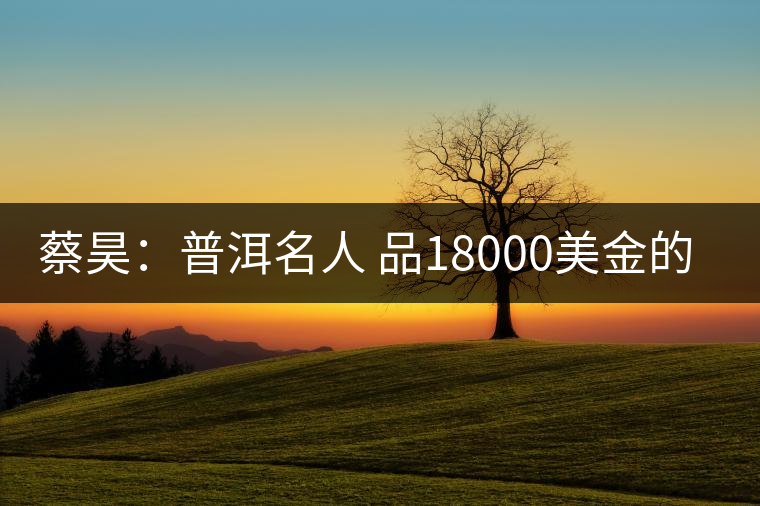 蔡昊:普洱名人 品18000美金的“宋聘號” 蔡昊:普洱名人 品18000美金的“宋聘號”