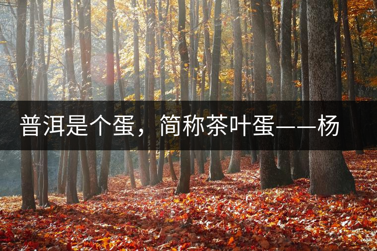 普洱是個蛋，簡稱茶葉蛋——楊鎮(zhèn)瑜訪談錄
