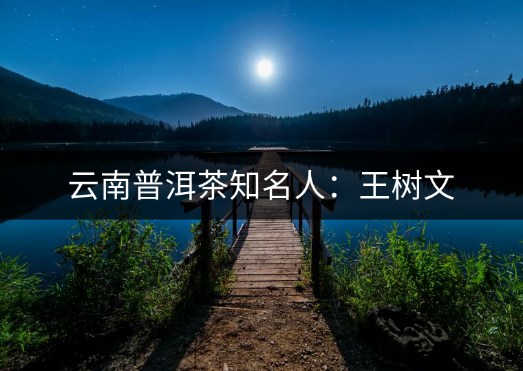 云南普洱茶知名人：王樹文