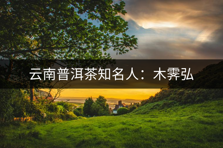 云南普洱茶知名人：木霽弘