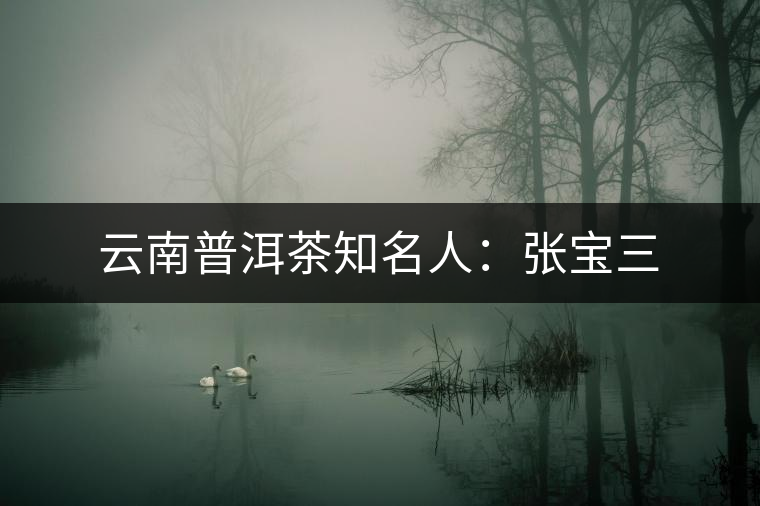 云南普洱茶知名人：張寶三