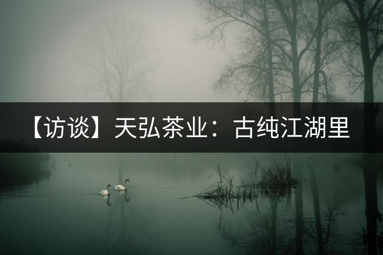 【訪談】天弘茶業(yè):古純江湖里的“傻帽”傳奇 【訪談】天弘茶業(yè):古純江湖里的“傻帽”傳奇