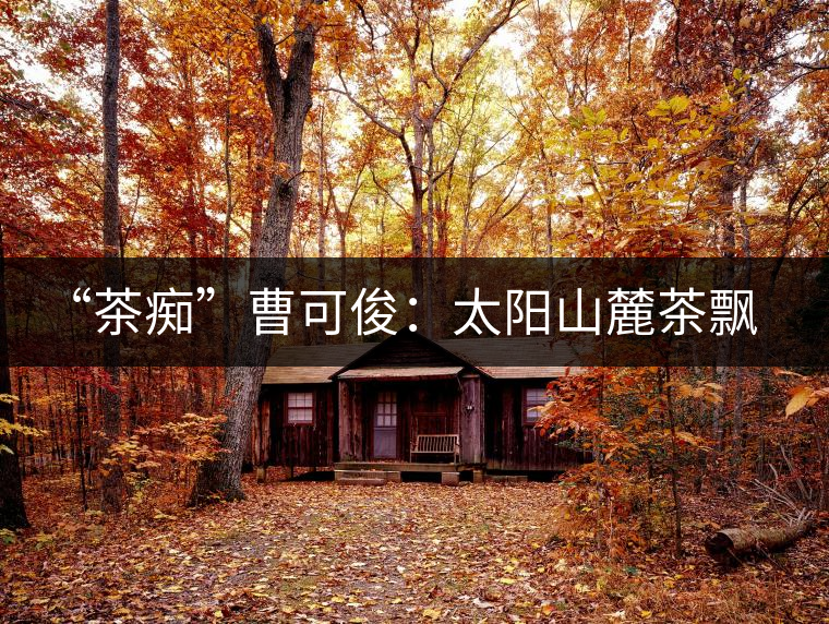 “茶癡”曹可?。禾柹铰床栾h香，清明時節(jié)采茶忙