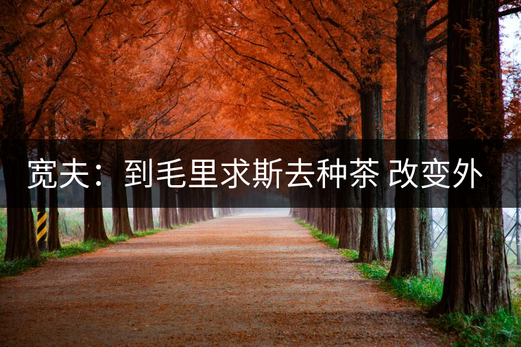 寬夫：到毛里求斯去種茶 改變外國人喝茶沒底線