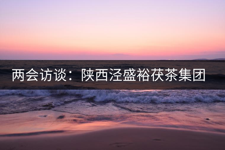 兩會訪談：陜西涇盛裕茯茶集團(tuán)董事長馬恒光