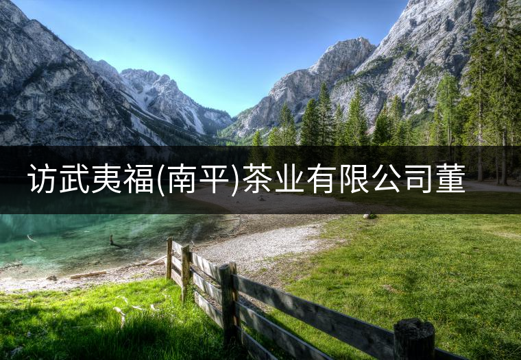 訪武夷福(南平)茶業(yè)有限公司董事長(zhǎng)張敏瓊