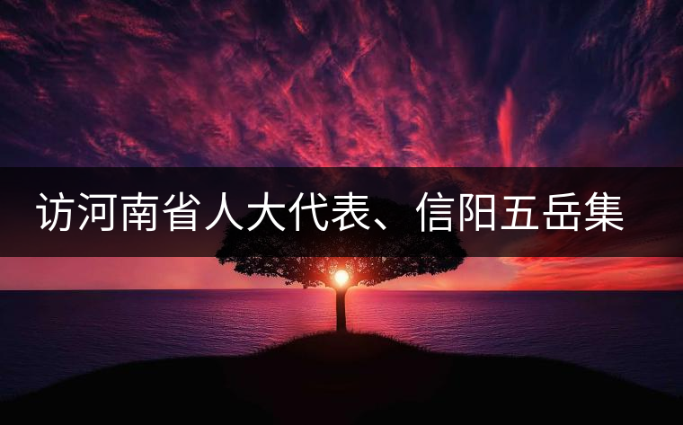 訪河南省人大代表、信陽五岳集團(tuán)董事長(zhǎng)胡鎮(zhèn)——茶鄉(xiāng)亦飄茶油香