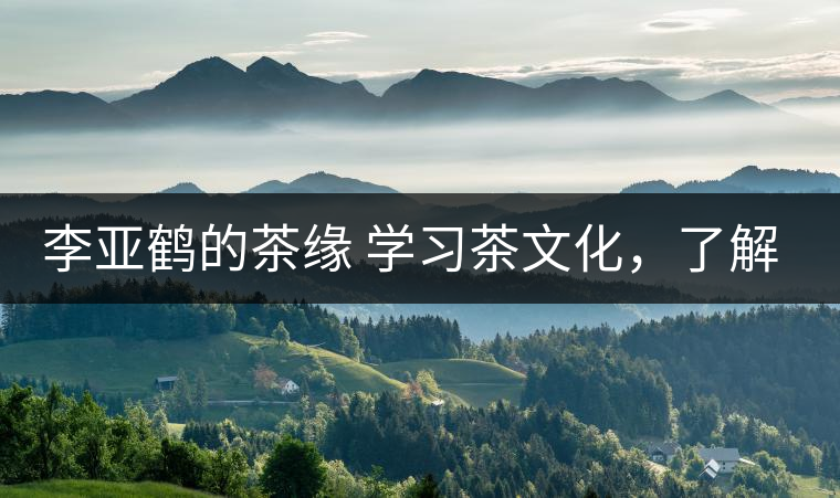 李亞鶴的茶緣 學(xué)習(xí)茶文化，了解茶文化，品味茶文化