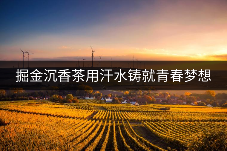 掘金沉香茶用汗水鑄就青春夢(mèng)想
