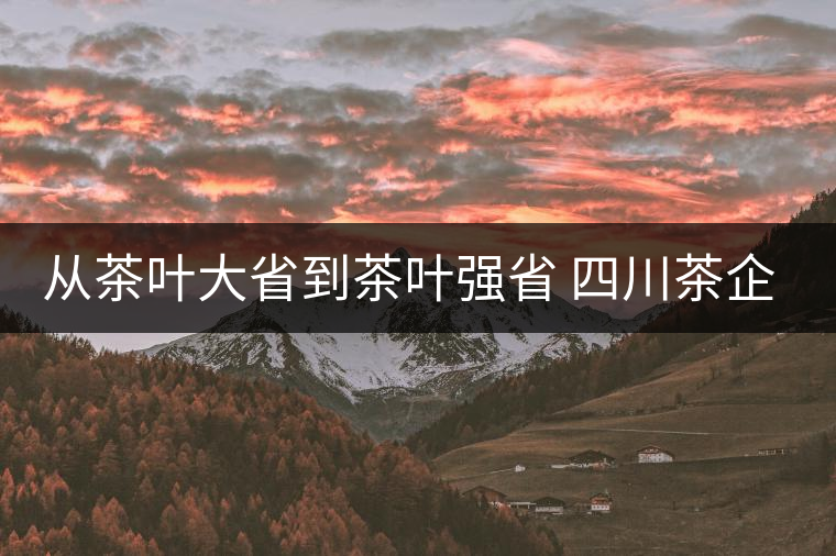從茶葉大省到茶葉強(qiáng)省 四川茶企路在何方