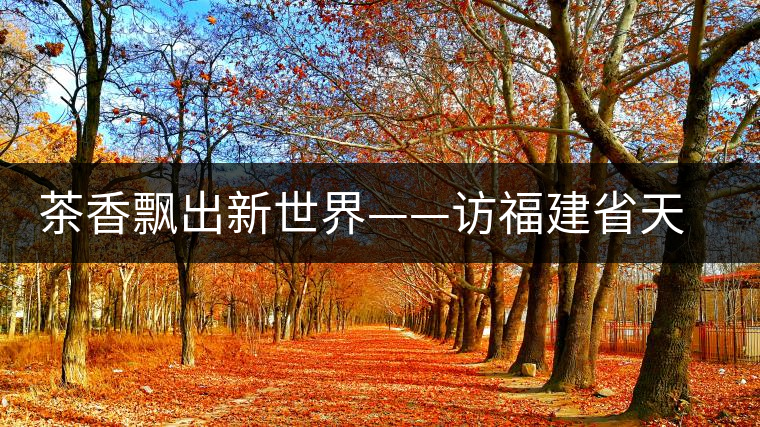茶香飄出新世界——訪福建省天榮茶業(yè)有限公司董事長沈丞榮
