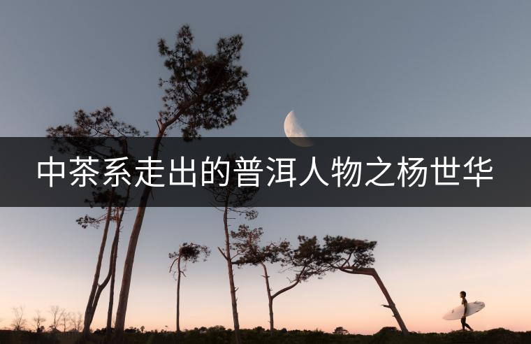 中茶系走出的普洱人物之楊世華