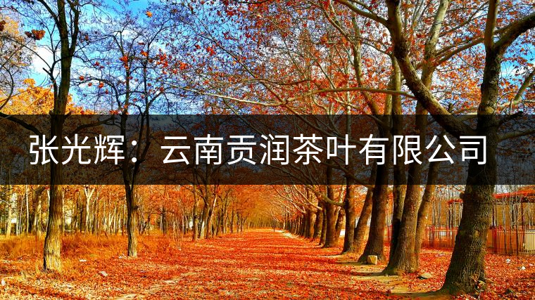 張光輝：云南貢潤茶葉有限公司董事長