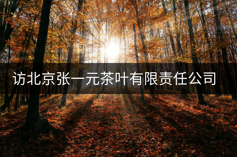 訪北京張一元茶葉有限責(zé)任公司董事長(zhǎng)王秀蘭