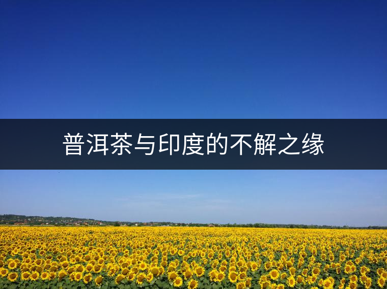 普洱茶與印度的不解之緣