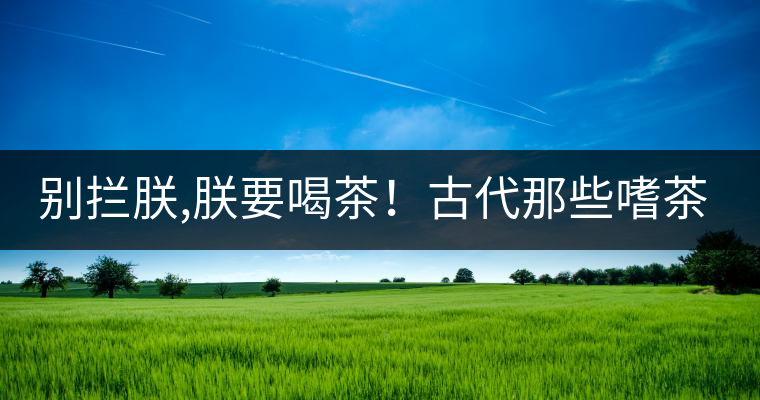 別攔朕,朕要喝茶！古代那些嗜茶如命的皇帝