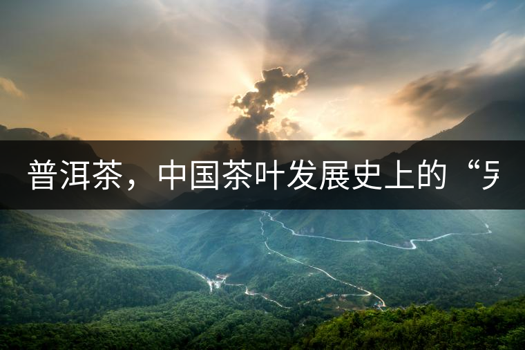普洱茶，中國茶葉發(fā)展史上的“另類存在”