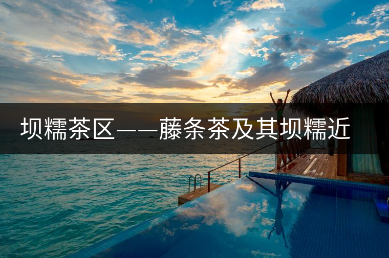 壩糯茶區(qū)——藤條茶及其壩糯近期歷史