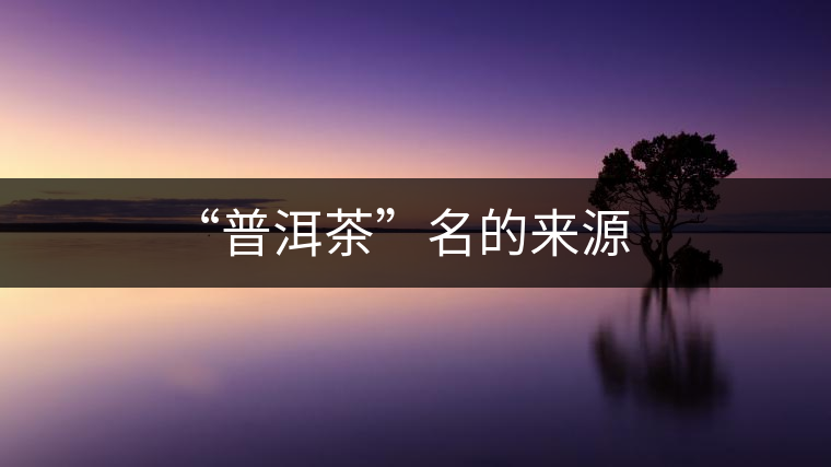 “普洱茶”名的來源