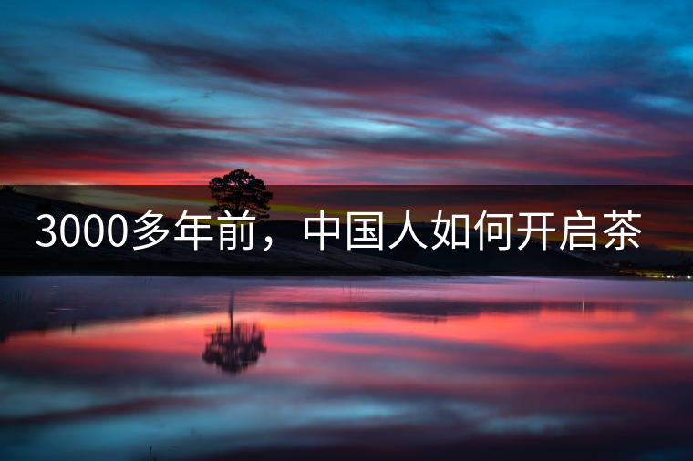 3000多年前，中國人如何開啟茶生活？