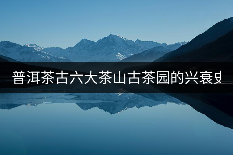 普洱茶古六大茶山古茶園的興衰史！