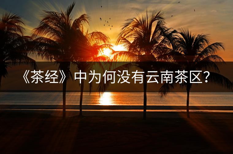 《茶經(jīng)》中為何沒(méi)有云南茶區(qū)？