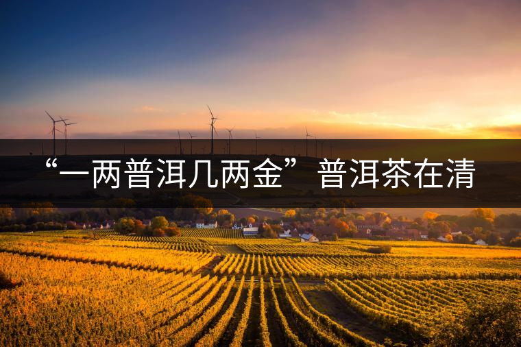 “一兩普洱幾兩金”普洱茶在清代為啥這么火？！