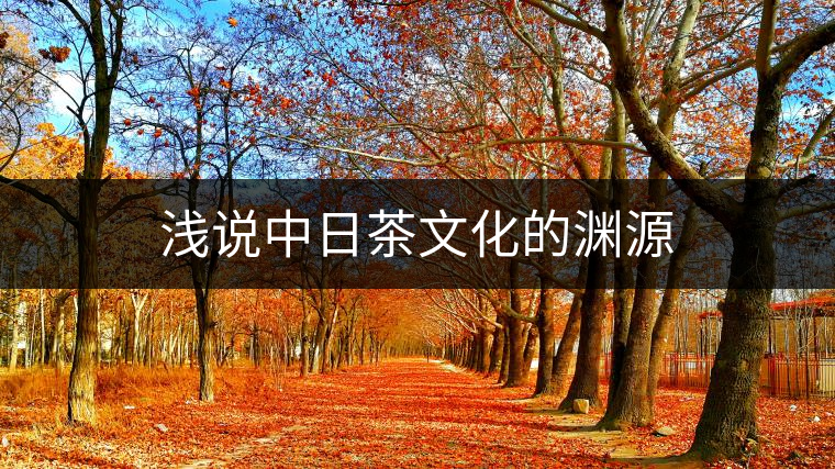淺說中日茶文化的淵源 淺說中日茶文化的淵源