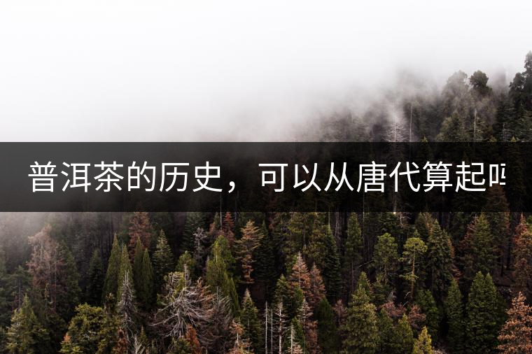 普洱茶的歷史，可以從唐代算起嗎？
