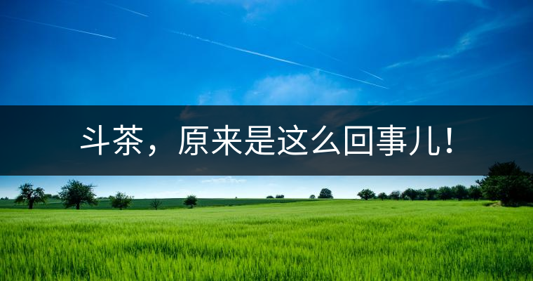 斗茶，原來是這么回事兒！