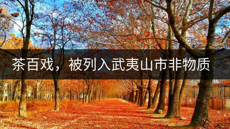 茶百戲，被列入武夷山市非物質(zhì)文化遺產(chǎn)的茶湯