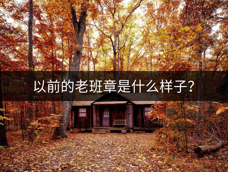 以前的老班章是什么樣子？