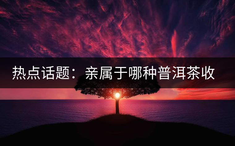 熱點話題：親屬于哪種普洱茶收藏者？