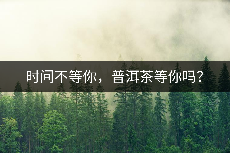時(shí)間不等你，普洱茶等你嗎？
