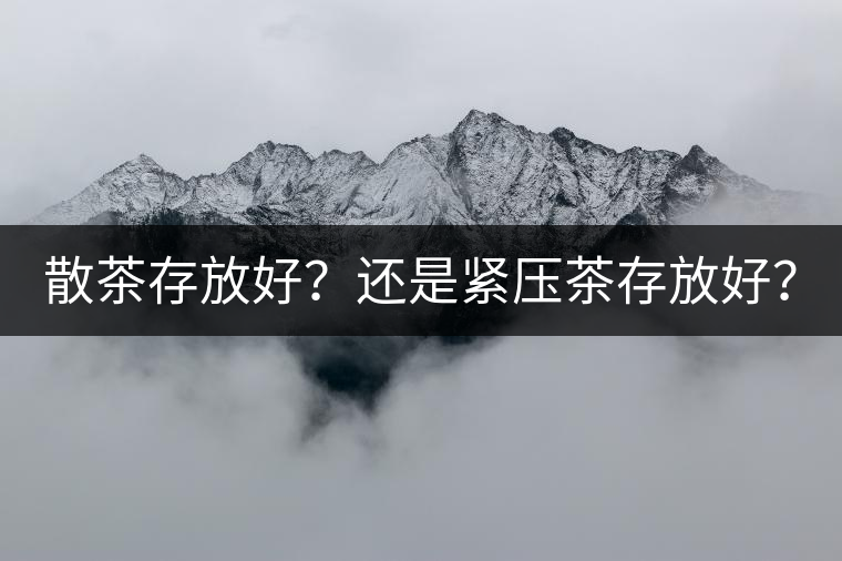 散茶存放好？還是緊壓茶存放好？