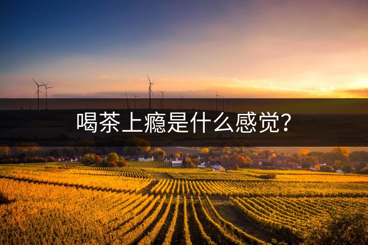 喝茶上癮是什么感覺(jué)？