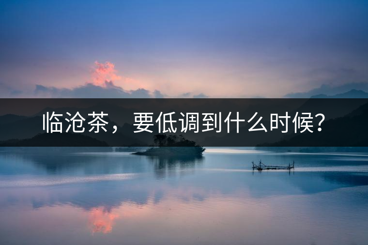 臨滄茶，要低調(diào)到什么時候？