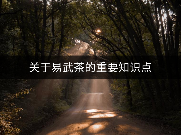 關(guān)于易武茶的重要知識(shí)點(diǎn)